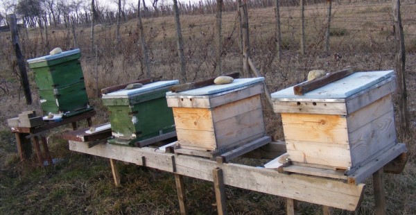 Bee-hives (Robert & Mihaela Vicol)