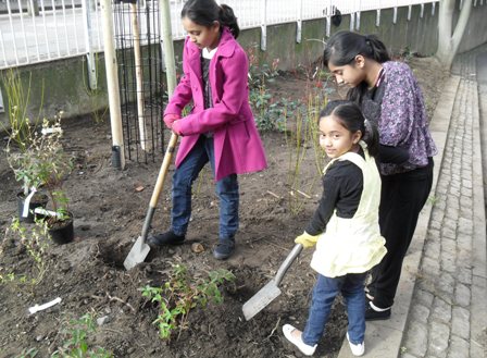 Children planting trees