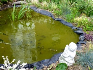 Winterton House pond