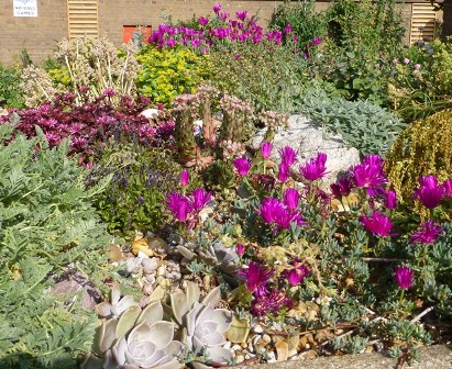 Winterton House Organic Garden