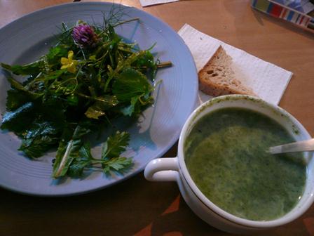 nettle soup and wild leaf salad