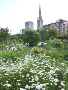 Cable Street Community Garden