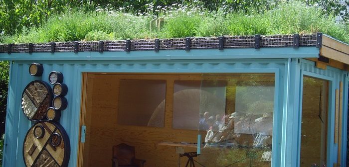 Shed with green roof and bug walls