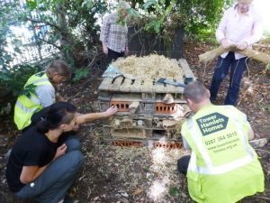 Building an insect hotel