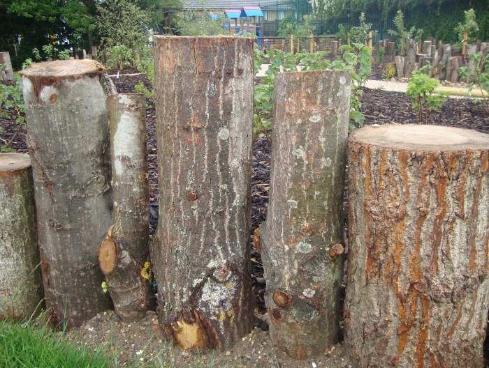 New woodland playscape for Lansbury Lawrence School stepping logs