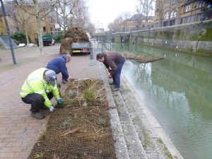 Fitting vegetated mats to rafts