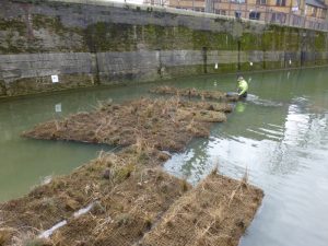 Launching vegetated rafts