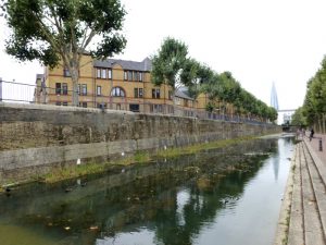vegetated rafts at Spirit Quay