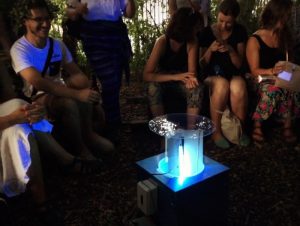 Moth trapping event