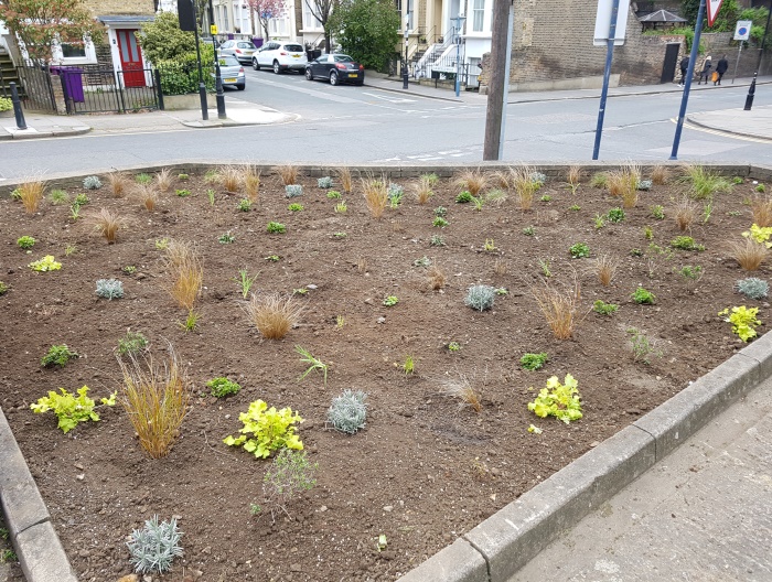 Newly-planted flower bed