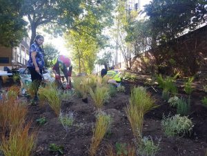 Volunteers planting on housing estate