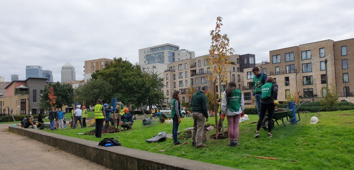 Photo of volunteers planting trees at Furze Green