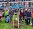 Photo of Tower Hamlets Mayor John Biggs planting a tree with volunteers