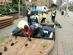 Photo of volunteers assembling a floating island
